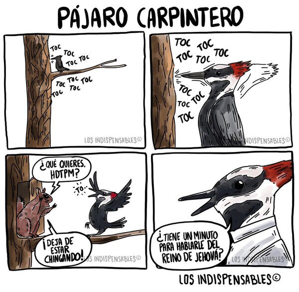 Otros - El animal más pesado