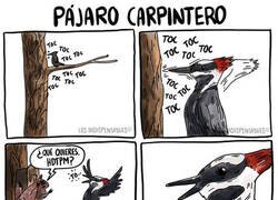 Enlace a El animal más pesado