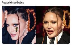 Enlace a ¿Qué mosca le ha picado a Madonna?