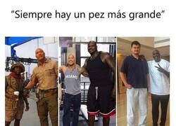 Enlace a Excepto si eres Yao Ming