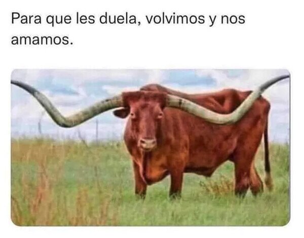 Otros - Es lo que un cornudo diría