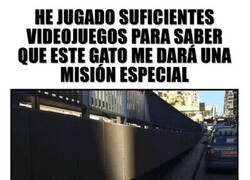 Enlace a Algo quiere ese gato