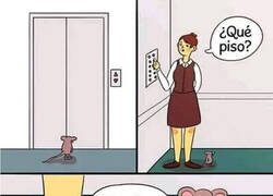 Enlace a Ay pobre... :(