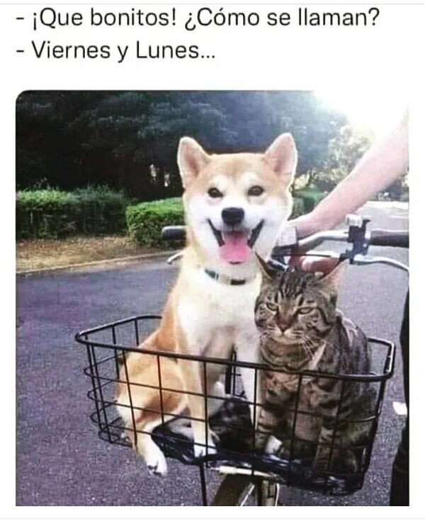 Meme_otros - Puedo adivinar quién es quién