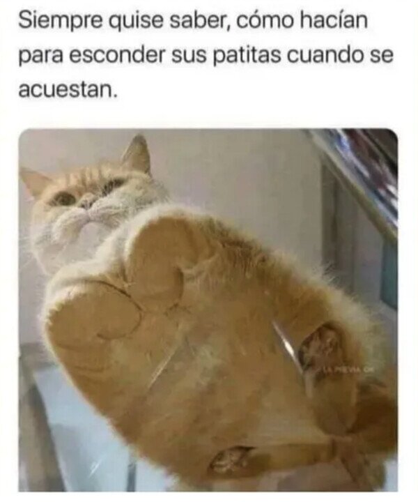 Meme_otros - Misterio resuelto