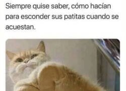 Enlace a Misterio resuelto