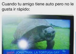 Enlace a Pisando huevos