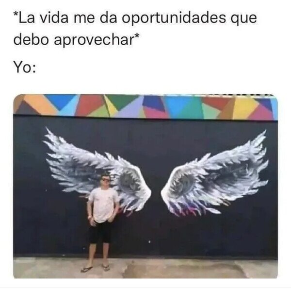 Meme_otros - Las oportunidades vuelan