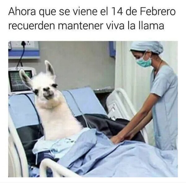 Meme_otros - La llama del amor