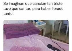 Enlace a Espera... Eso no son ni un micrófono ni lágrimas...