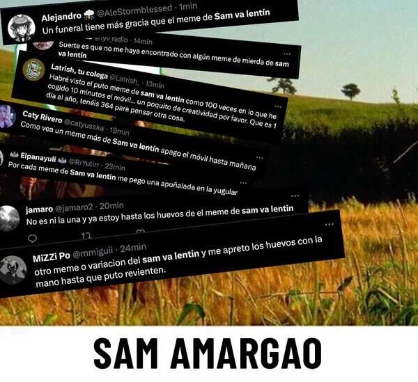 Meme_otros - En las redes, el 14 de febrero....