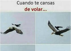 Enlace a Ave cómoda