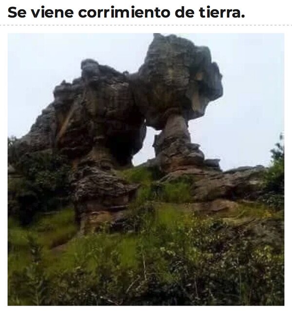 Otros - El milagro de la naturaleza