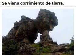 Enlace a El milagro de la naturaleza