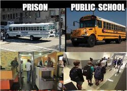 Enlace a ¿Qué diferencia hay?