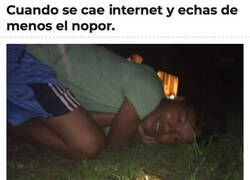 Enlace a Buscando estímulos en la naturaleza