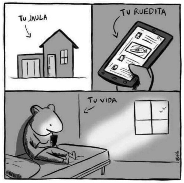 Meme_otros - No somos más que hámsters
