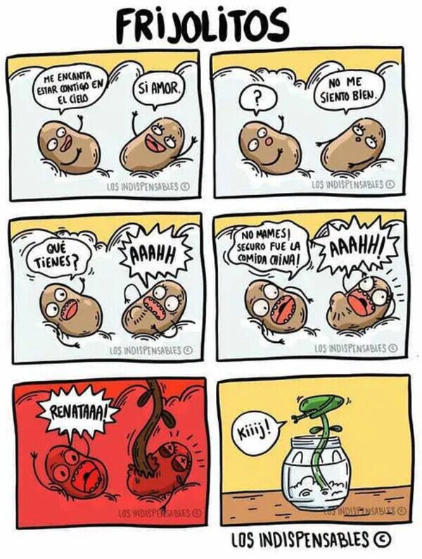 Meme_otros - Qué duro debe ser ser un frijol