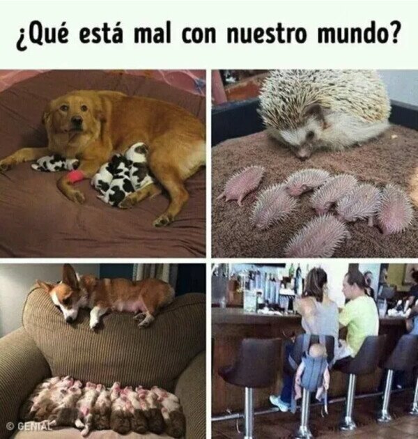 Meme_otros - ¿Qué nos está pasando?