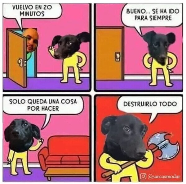 Meme_otros - Lo que piensan los perros cuando se quedan solos