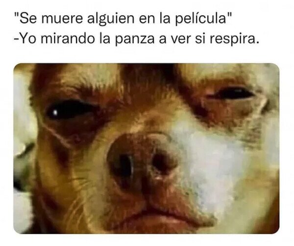 Otros - Comprobando sus dotes reales de la actuación