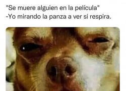 Enlace a Comprobando sus dotes reales de la actuación