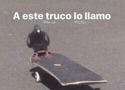 Enlace a Veo que tú te lo sabes bien...