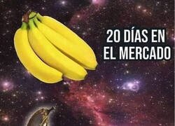 Enlace a ¿Por qué pasa esto?