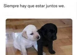 Enlace a Juntitos para siempre