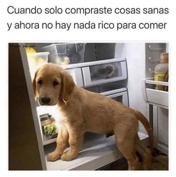 Meme_otros - Mi pelea interna conmigo mismo