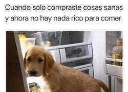 Enlace a Mi pelea interna conmigo mismo