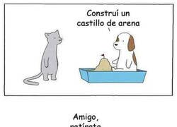 Enlace a Hiciste un castillo de mi baño