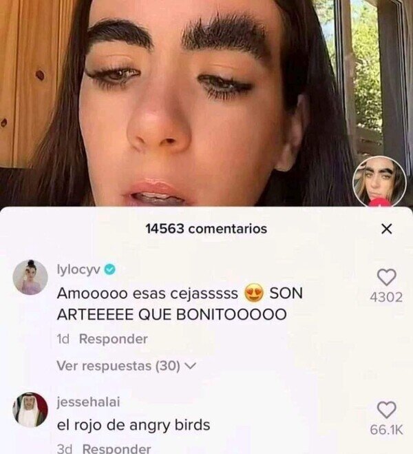 Meme_otros - Los likes lo dicen todo