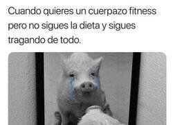 Enlace a Cerdito nací y cerdito moriré