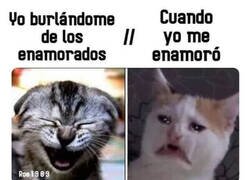 Enlace a Ahora duele...