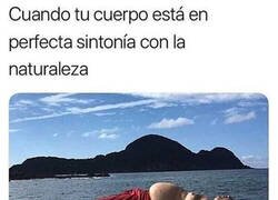 Enlace a A mi no me gusta la naturaleza, yo soy la naturaleza