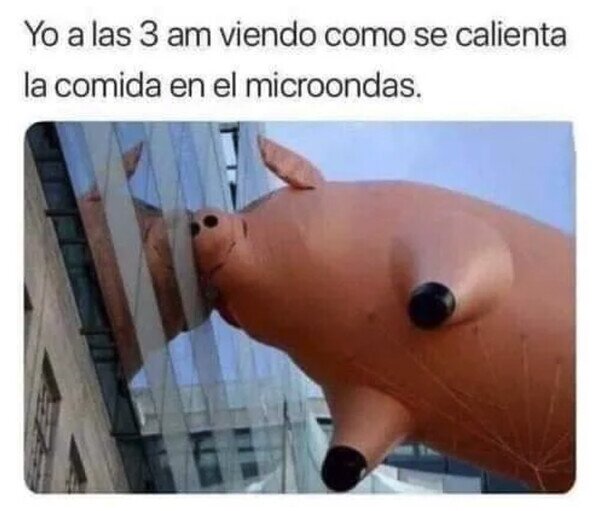 Otros - Soy un cerdito hambriento