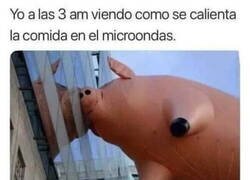 Enlace a Soy un cerdito hambriento