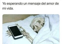 Enlace a Sigo esperando