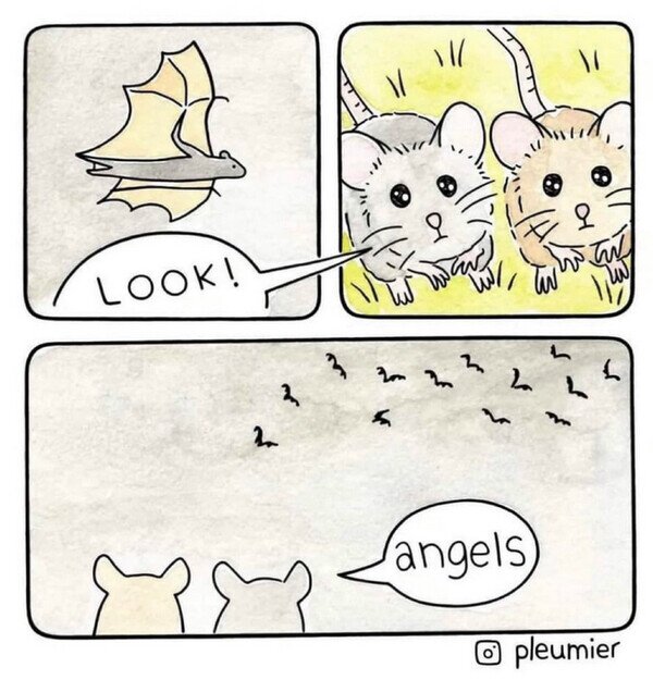 Meme_otros - Son como ellos pero con alas