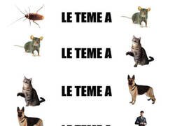 Enlace a El ciclo del temor