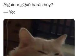 Enlace a Dejadme en paz