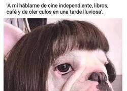 Enlace a La perrita intelectual