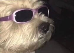 Enlace a Es un objetivo