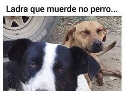 Enlace a El perro fumado
