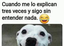 Enlace a Solo me queda sonreír y asentir