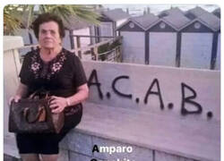 Enlace a Peligrosa banda callejera