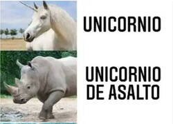 Enlace a Para los que no sepan de animales