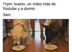 Enlace a Este tengo que verlo sí o sí