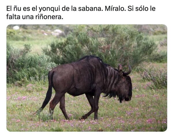 Otros - No tengo pruebas pero tampoco dudas